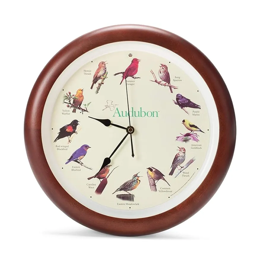 Round wall clock with wooden frame featuring colorful illustrations of various songbirds at each hour position and the word Audubon in the center.